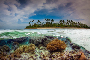 Dynamic water line. by Steven Miller 